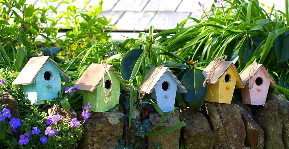 How to attract birds to your yard