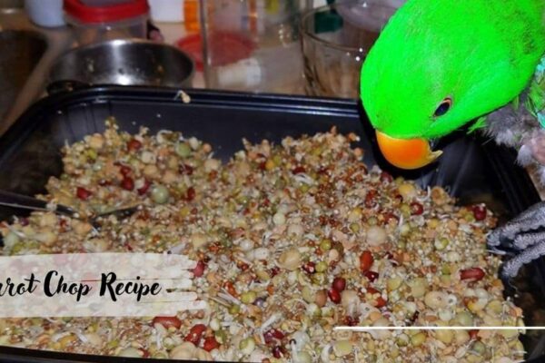 Parrot Chop Recipe