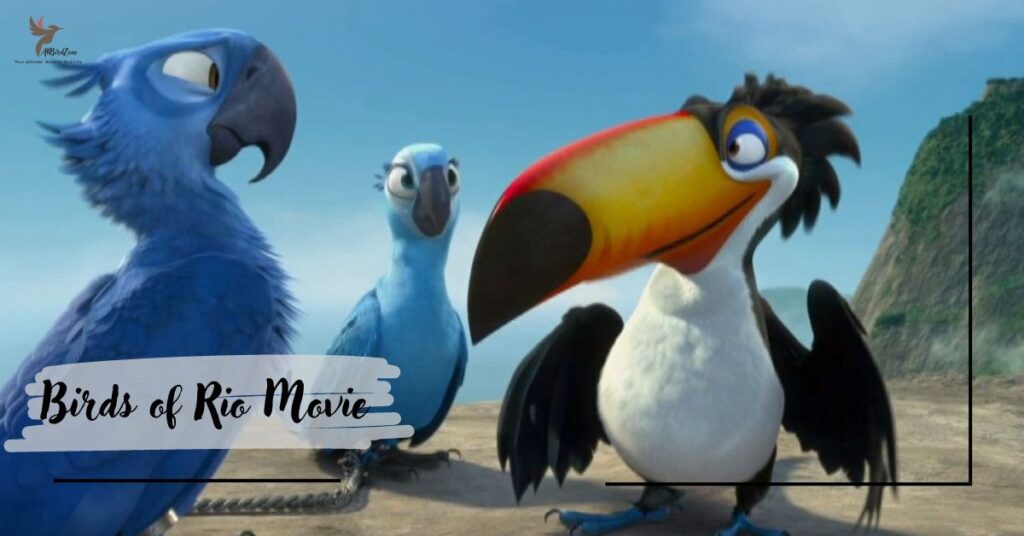 Birds of Rio Movie