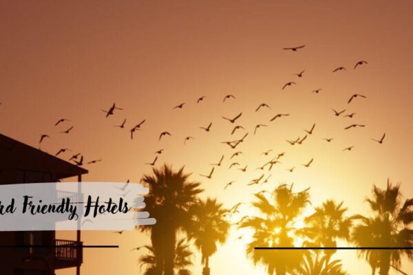 Bird Friendly Hotels