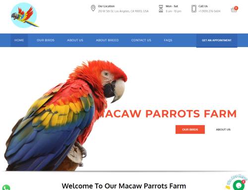 Parrot Scams Pictures